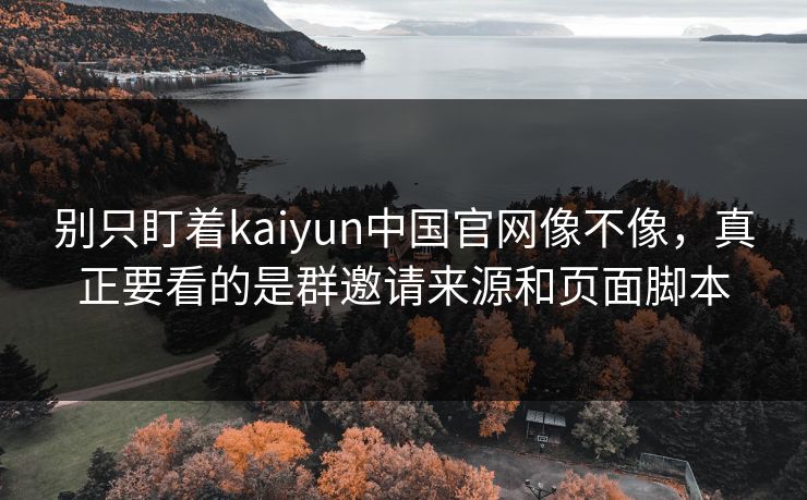 别只盯着kaiyun中国官网像不像，真正要看的是群邀请来源和页面脚本