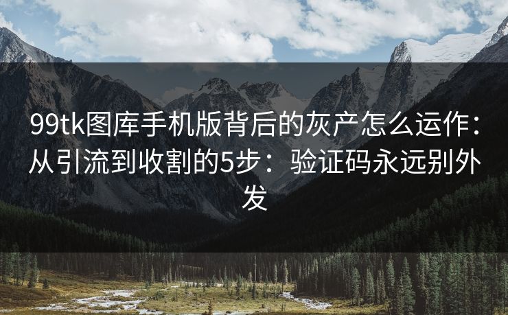 99tk图库手机版背后的灰产怎么运作：从引流到收割的5步：验证码永远别外发