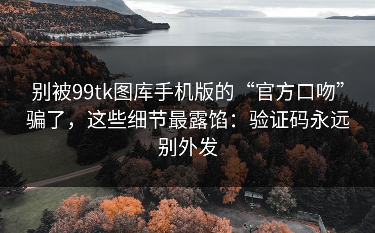 别被99tk图库手机版的“官方口吻”骗了，这些细节最露馅：验证码永远别外发