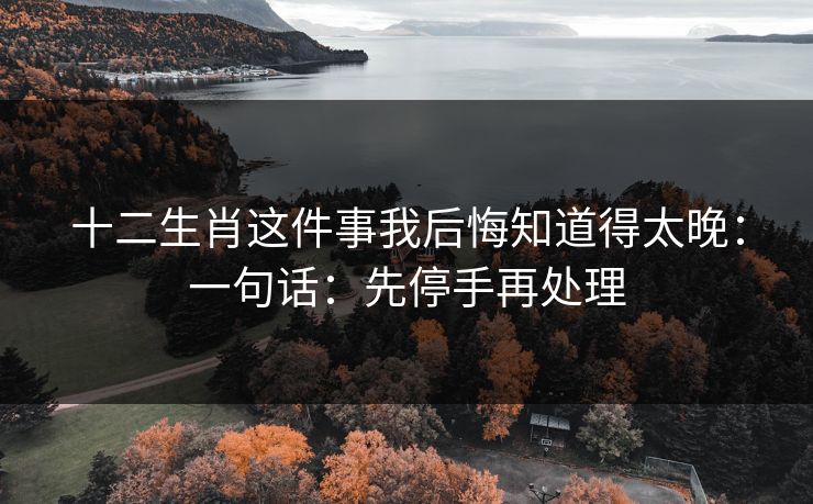十二生肖这件事我后悔知道得太晚：一句话：先停手再处理