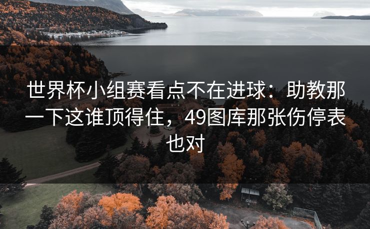 世界杯小组赛看点不在进球：助教那一下这谁顶得住，49图库那张伤停表也对