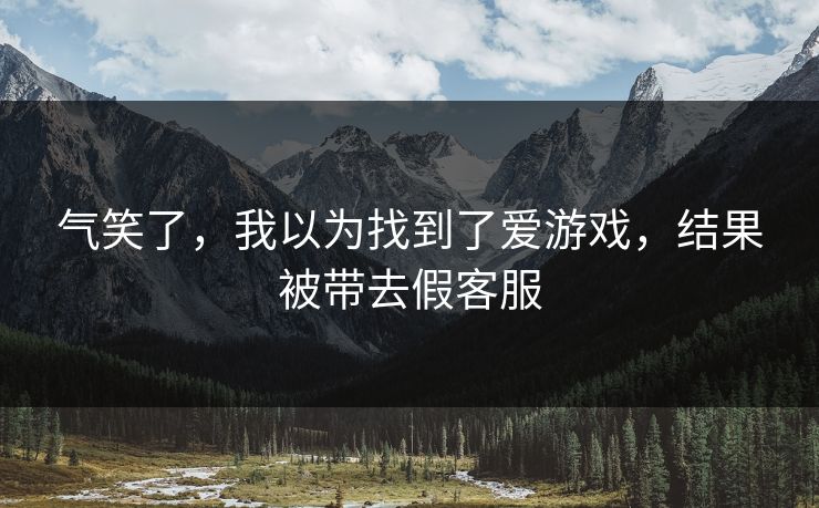 气笑了，我以为找到了爱游戏，结果被带去假客服